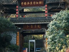 -中国茶叶博物馆(双峰馆区)