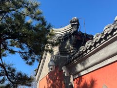 -郭守敬纪念馆