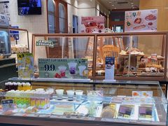 -多乐之日(公益西桥店)