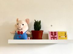 -阿狗圆子