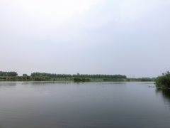 -白洋淀景区