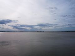 -呼兰河口湿地公园