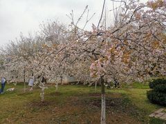 -堤角公园
