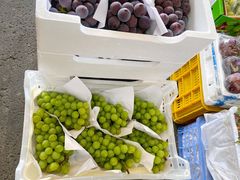 -西郊国际农产品交易中心