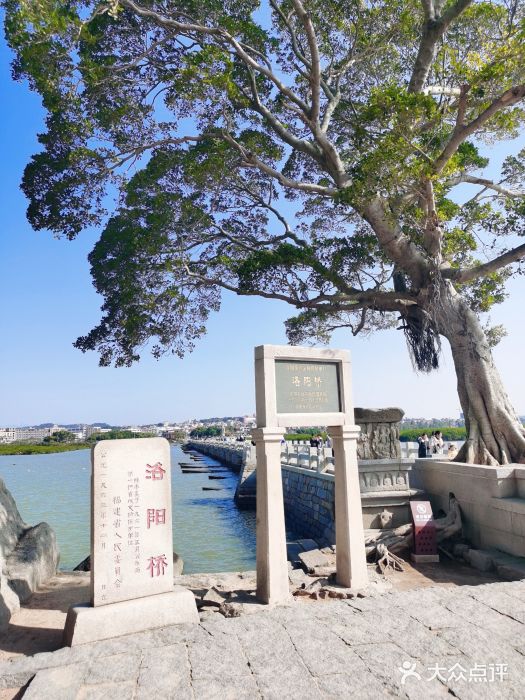 洛阳桥图片