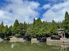 -玉苍山国家森林公园