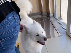 -宠福鑫康馨动物医院·骨科·眼科