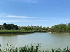 -塘沽森林公园
