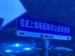 -汉堡王(海昌海洋公园店)