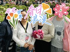 -曹州百花园