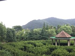 -锦园餐厅(九龙湖开元度假村店)