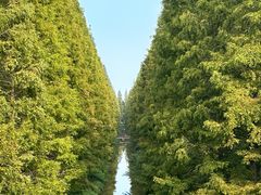 -黄海国家森林公园