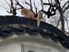 -沧浪亭