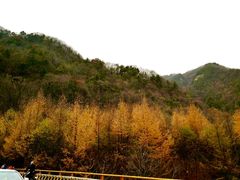 -秦岭风景区
