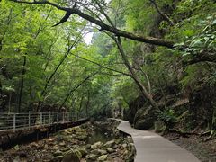 -九龙潭景区