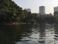 -晓港公园