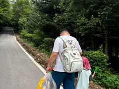 -三块石国家森林公园