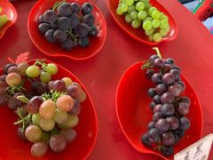 -马陆小张葡萄园农家乐