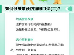 -瑞派申生动物医院·24H夜诊·国际动物医疗中心·骨外科(吴中路店)