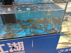 -世纪联华(外高桥店)