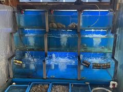 -老东镇啤酒屋海鲜加工·蒸汽海鲜·海鲜烧烤(台东店)