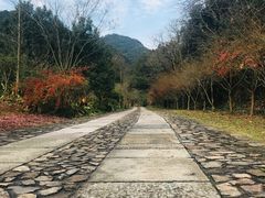 -黄公望隐居地