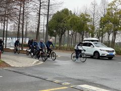 -上海长兴岛郊野公园