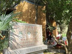 -灵谷景区