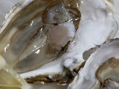 -雪梨精酿 Sydney Coast Brewing(沁春家园店)