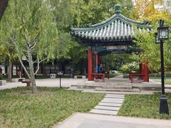 -月坛公园