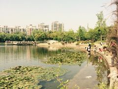 iphone_upload_pic-新江湾城公园