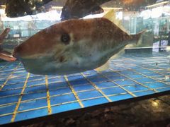 -聚福宝合苑食府(南头镇店)