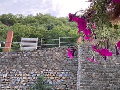 -Local泰莲庭(虹鳟鱼店)