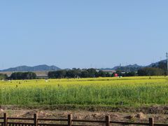 -光明小镇欢乐田园
