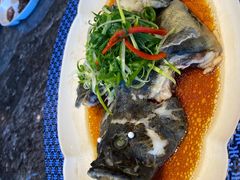 -荣誉海鲜酒楼(海湾店)