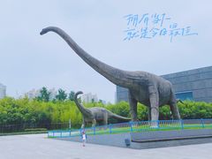-安徽省地质博物馆