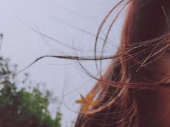 -淇河国家湿地公园