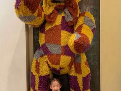 -济州岛泰迪熊博物馆