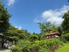 -深圳国际园林花卉博览园