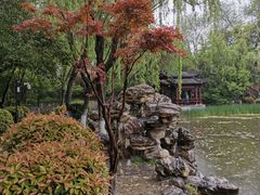 -莲湖公园