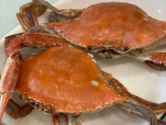 -金海湾海鲜排档(朱家尖店)