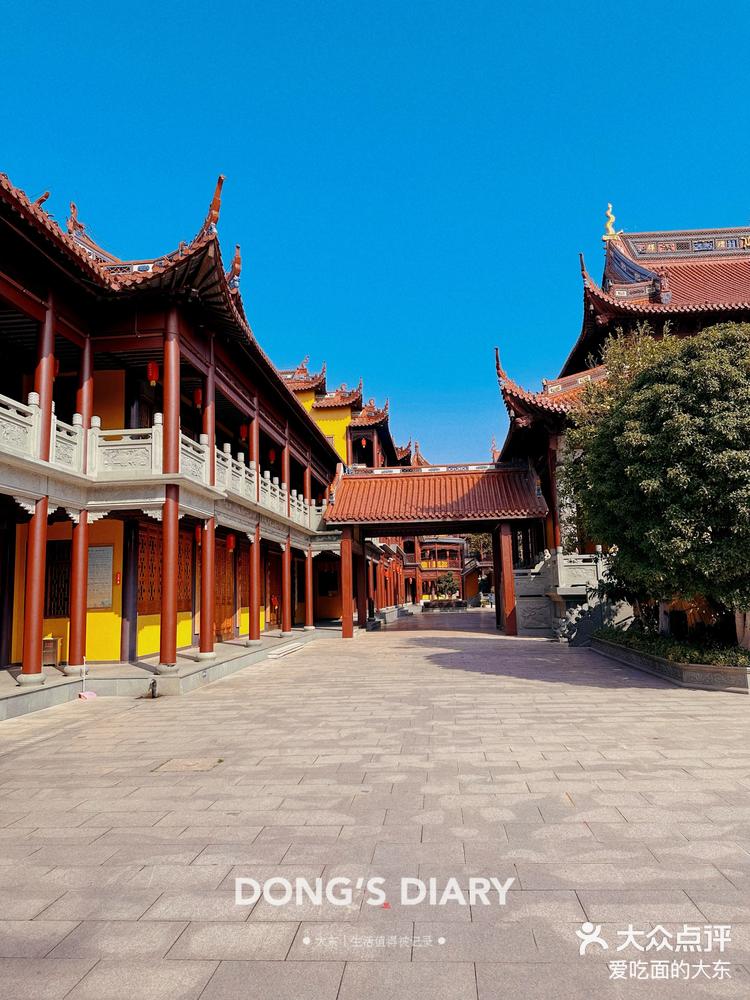 探访|奉贤万佛阁-大众点评