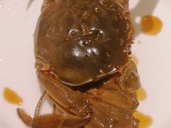 熟醉蟹-五芳齋(云南南路店)