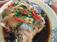 -芦茨金富饭庄·25年老字号·专做稻草鸡