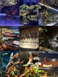 -Zoolung Zoolung动物主题公园(海信广场店)