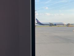 -谢列梅捷沃国际机场