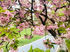 -贵州省植物园