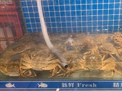 -周记老沈阳焦火鸡架