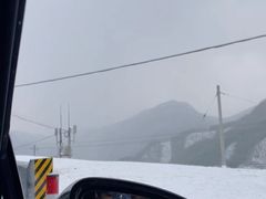 -江南天池