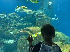 -海合安武汉极地海洋公园